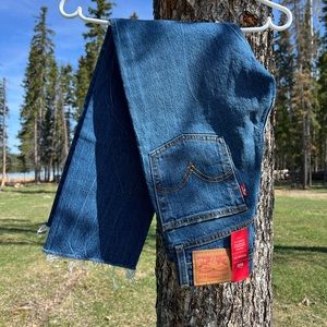 NWT Levi’s Wedgie Straight jeans- 24